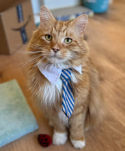 Load image into Gallery viewer, Hi-Top Sneaker - Cat -  Men's/Unisex or Women's T-Shirt