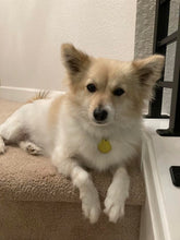 Load image into Gallery viewer, MZ's Zombie Killer Crew - Men's / Unisex T-shirt