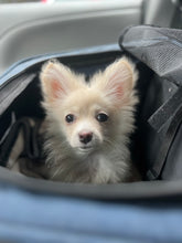 Load image into Gallery viewer, PawPaw Emeritus Fan Art- Risunsky- Men's/Unisex Zip Front Hoodie