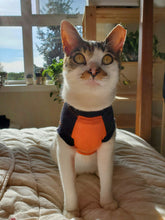 Load image into Gallery viewer, Housebroken Men's/Unisex or Women's T-shirt