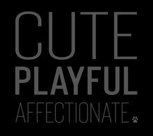 Load image into Gallery viewer, Cute Playful Affectionate Men's/Unisex or Women's T-shirt