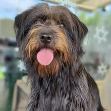 Load image into Gallery viewer, Shinedawg Men's/ Unisex Zip Front Hoodie