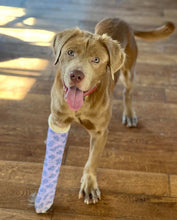 Load image into Gallery viewer, Do Rescue Men's/Unisex or Women's T-shirt