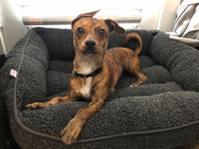 Load image into Gallery viewer, Muttallica Men's/Unisex Zip Front Hoodie (Grey)