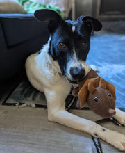 Load image into Gallery viewer, Muttallica v.2.0 - Men's / Unisex T-shirt