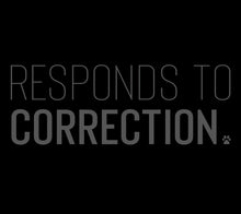 Load image into Gallery viewer, Responds to Correction Men's/Unisex or Women's T-shirt