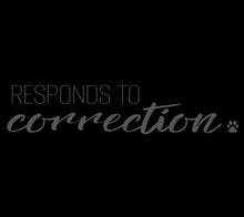 Load image into Gallery viewer, Responds to Correction Men's/Unisex or Women's T-shirt