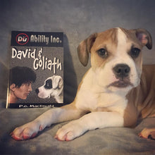 Load image into Gallery viewer, David & Goliath Book- PG Macdonald Books