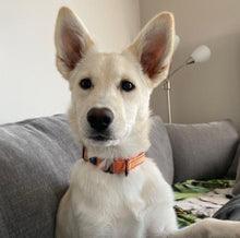 Load image into Gallery viewer, Rescue Dad Men's/Unisex T-shirt