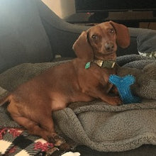 Load image into Gallery viewer, Whiner - Men's/ Unisex or Women's TShirt