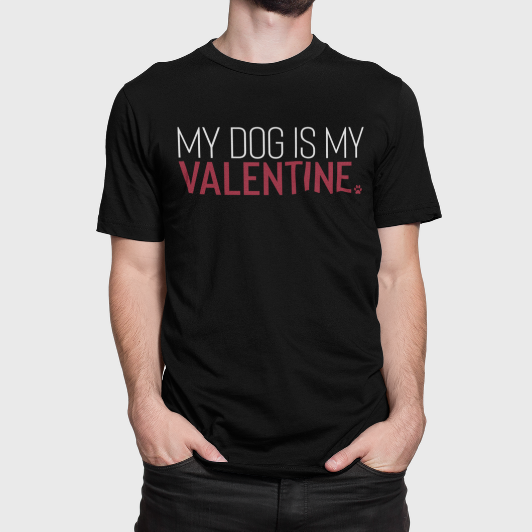 My Dog/Cat is my Valentine Men's/Unisex or Women's T-shirt